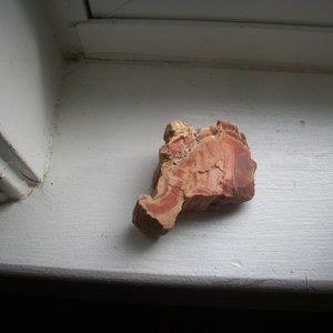 2x2" Arizona Rainbow Petrified Wood Slab - Cross Section Rough Colored & Bark